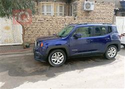 جيب رينيجيد